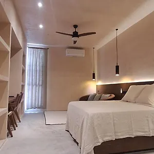 Apartment Mid-498 Centro Mexico